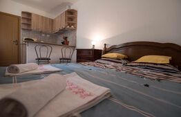 Studio modern, 22mp, zona Centrul Istoric