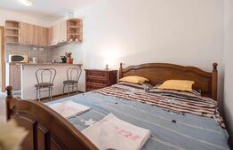 Studio modern, 22mp, zona Centrul Istoric