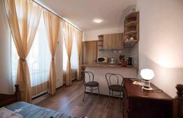 Studio modern, 22mp, zona Centrul Istoric