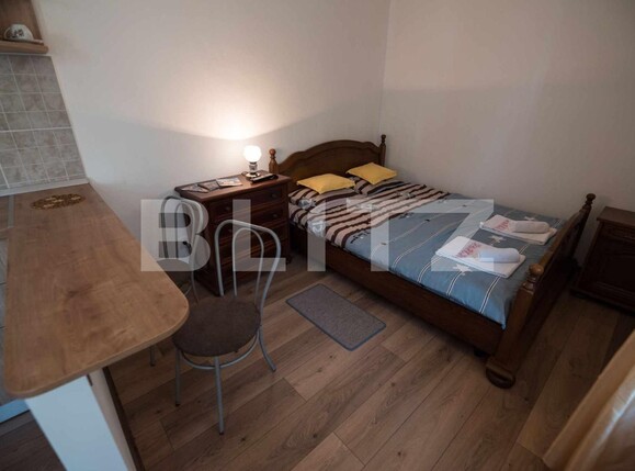 Garsonieră de vânzare Centrul Istoric - 133798AV | BLITZ Brașov | Poza4