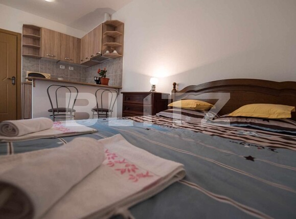 Garsonieră de vânzare Centrul Istoric - 133798AV | BLITZ Brașov | Poza8