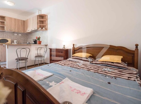 Garsonieră de vânzare Centrul Istoric - 133798AV | BLITZ Brașov | Poza7