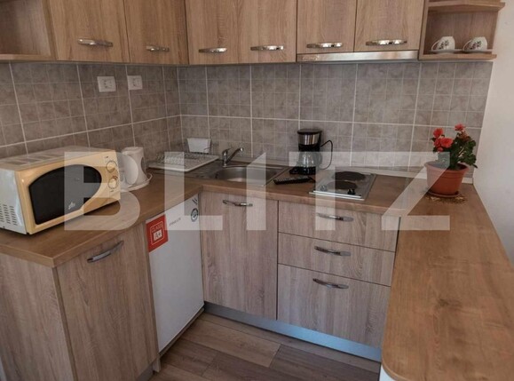 Garsonieră de vânzare Centrul Istoric - 133798AV | BLITZ Brașov | Poza3