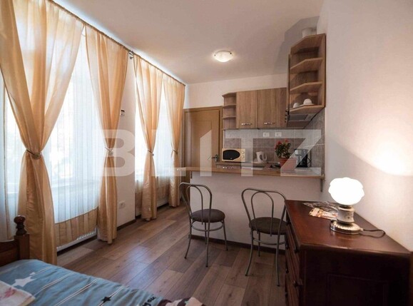 Garsonieră de vânzare Centrul Istoric - 133798AV | BLITZ Brașov | Poza1