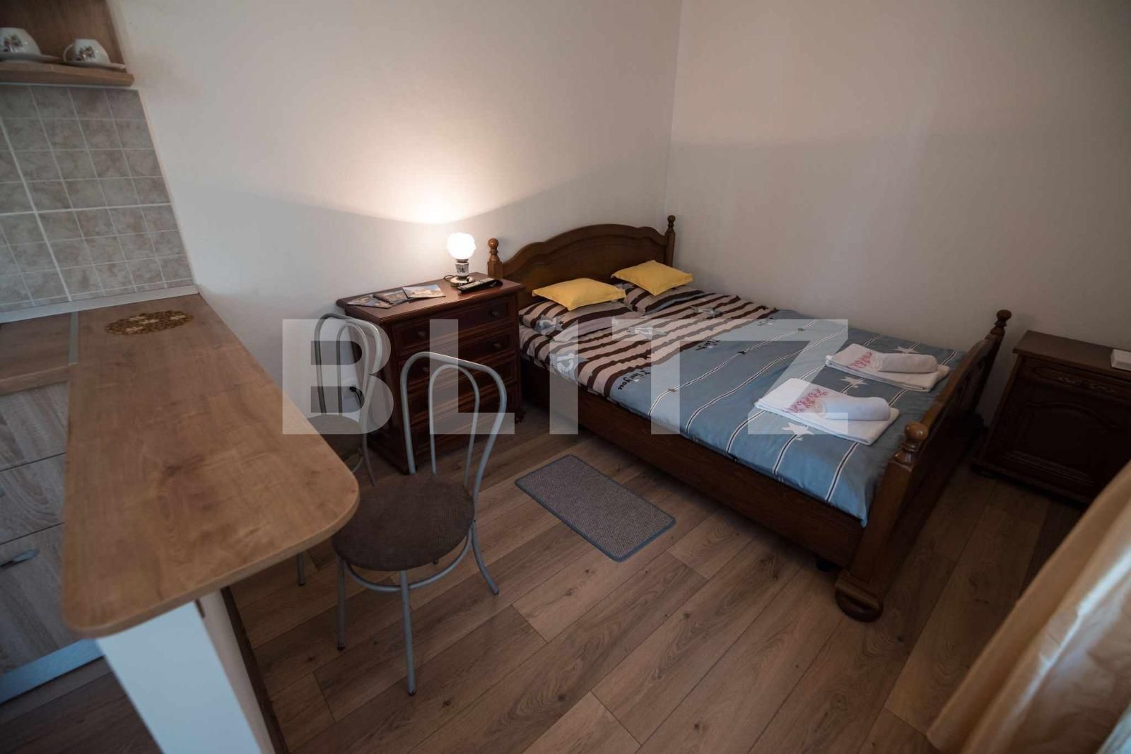 Garsonieră de vânzare Centrul Istoric - 133798AV | BLITZ Brașov | Poza4