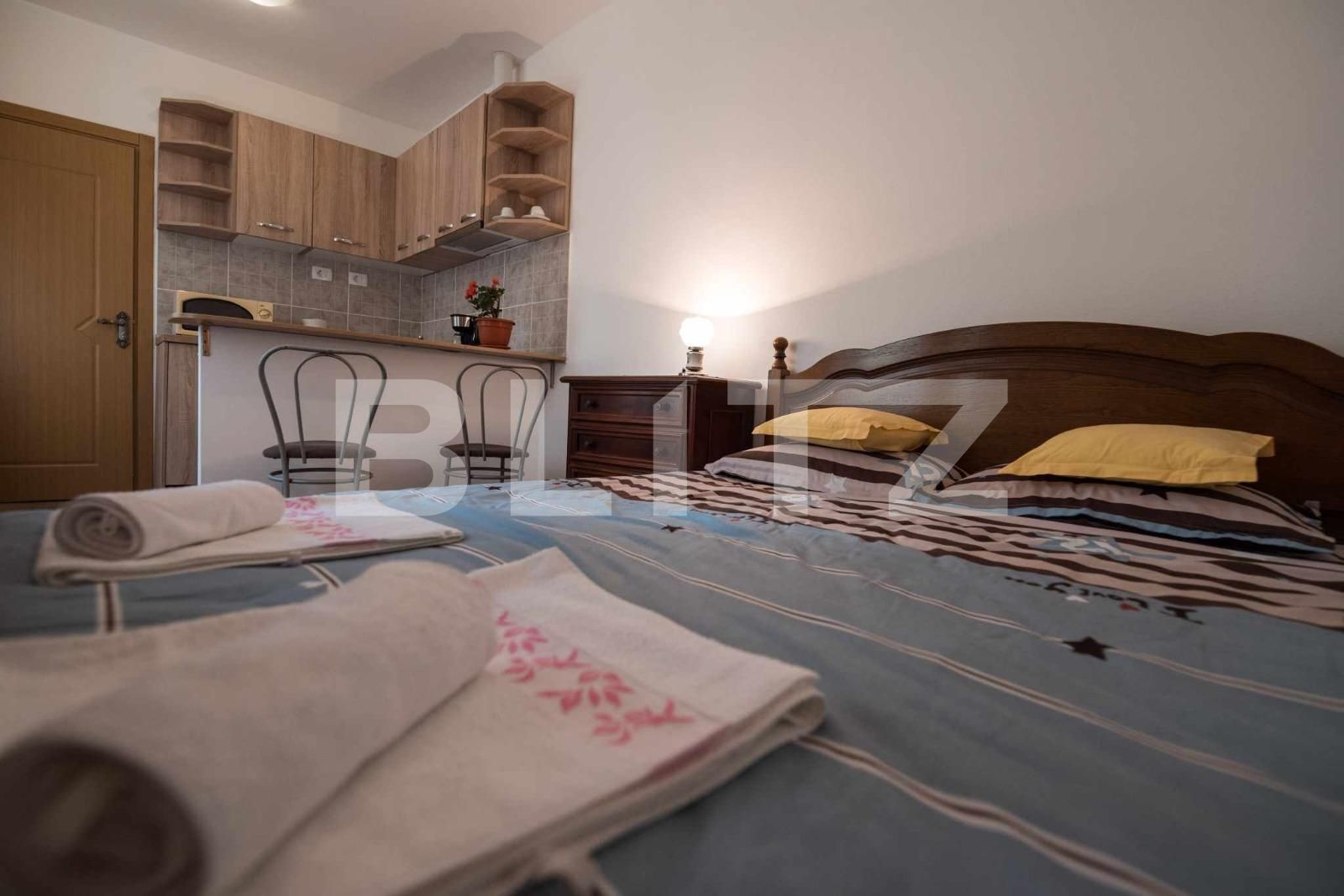 Garsonieră de vânzare Centrul Istoric - 133798AV | BLITZ Brașov | Poza8