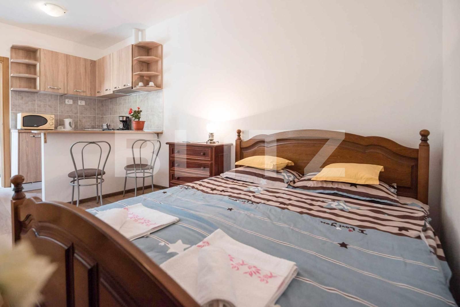 Garsonieră de vânzare Centrul Istoric - 133798AV | BLITZ Brașov | Poza7