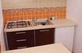 1 camera, in POD, 29 mp, imobil nou, zona strazii Porumbeilor!