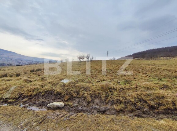 Teren de vânzare Valcele - 133948TV | BLITZ Cluj-Napoca | Poza4