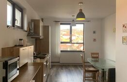 Vila la cheie cu piscina, 7 camere, Salicea