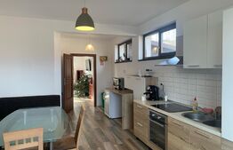 Vila la cheie cu piscina, 7 camere, Salicea