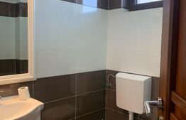 Vila cu piscina, 7 camere, 320mp, Salicea