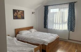 Vila cu piscina, 7 camere, 320mp, Salicea