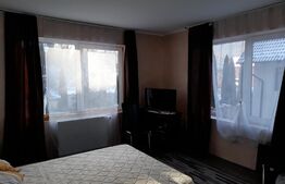 Casa cu 6 camere cu piscina și foisor în Timisul de Jos 