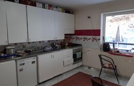 Casa cu 6 camere cu piscina și foisor în Timisul de Jos 