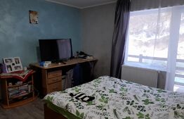 Casa cu 6 camere cu piscina și foisor în Timisul de Jos 