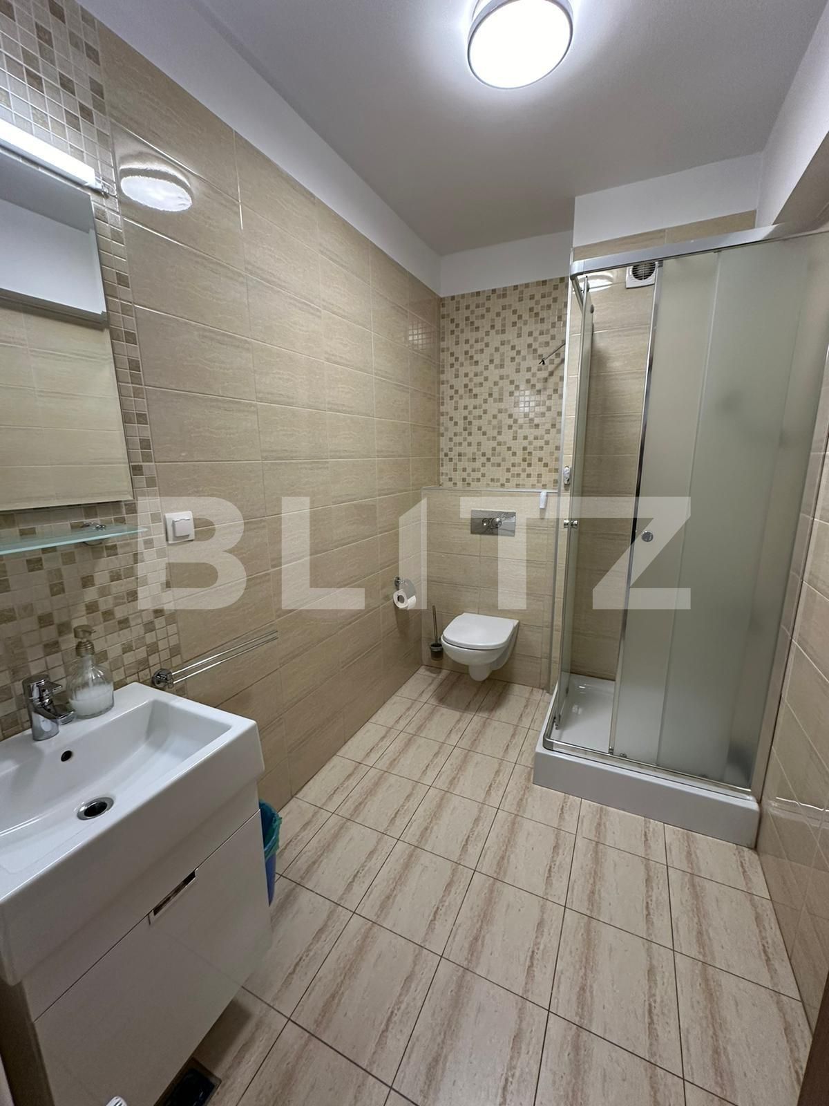 Spațiu birouri de închiriat Bună Ziua - 134056SIB | BLITZ Cluj-Napoca | Poza12