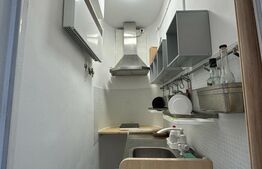 Garsoniera, 11 mp, Central