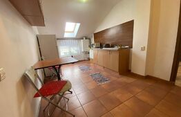 Apartament cu o camera, 40 mp, zona Izlazului