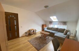 Apartament cu o camera, 40 mp, zona Izlazului