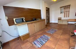 Apartament cu o camera, 40 mp, zona Izlazului