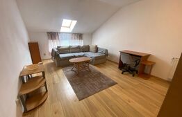 Apartament cu o camera, 40 mp, zona Izlazului