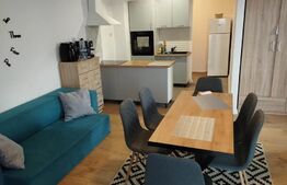 Studio, 36mp, terasa 65mp, pet-friendly, Marasti, zona Piata 1 Mai