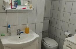 Studio, 36mp, terasa 65mp, pet-friendly, Marasti, zona Piata 1 Mai