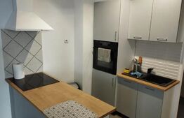Studio, 36mp, terasa 65mp, pet-friendly, Marasti, zona Piata 1 Mai