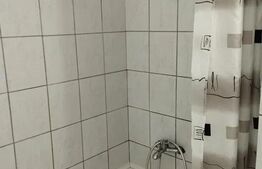 Studio, 36mp, terasa 65mp, pet-friendly, Marasti, zona Piata 1 Mai
