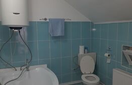 Casa cu 6 camere într-o zonă pitorească din Poiana Marului 