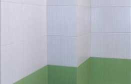 1 camera, 30 mp, totul nou, prima inchiriere, zona strazii Grigore Alexandrescu