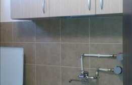 1 camera, 30 mp, totul nou, prima inchiriere, zona strazii Grigore Alexandrescu