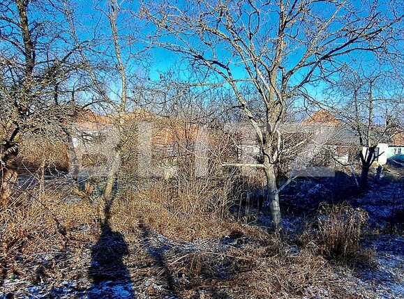 Casa de vânzare 4 camere Exterior Sud - 134266CV | BLITZ Cluj-Napoca | Poza4