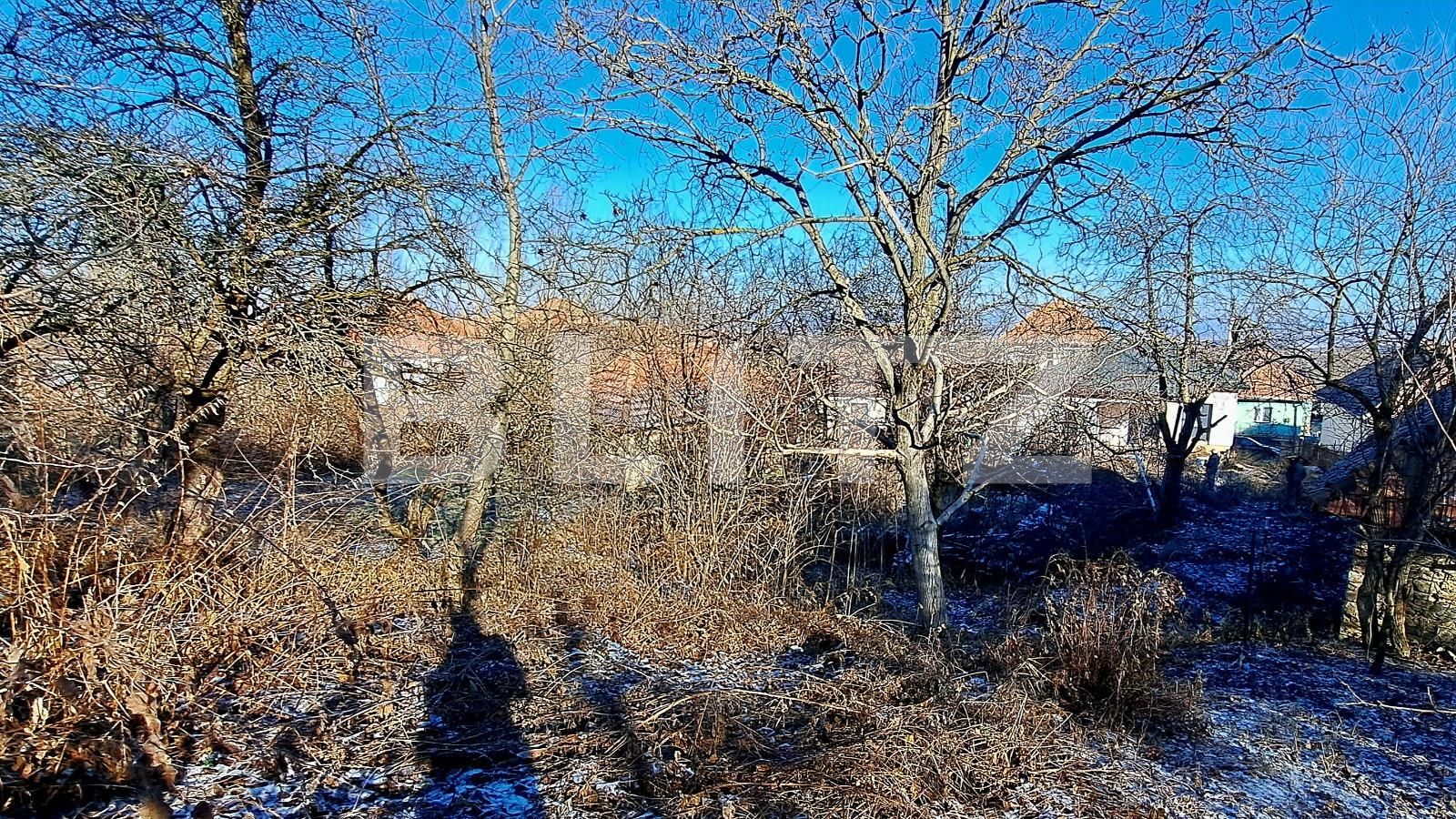 Casa de vânzare 4 camere Exterior Sud - 134266CV | BLITZ Cluj-Napoca | Poza4