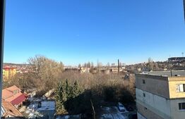 Garsoniera 16  mp, zona Scolii de Politie, Dambul Rotund