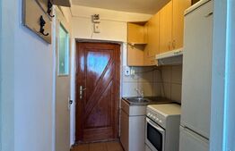 Garsoniera 16  mp, zona Scolii de Politie, Dambul Rotund