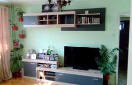 2 camere, 50 mp, parcare, mobilat modern, zona Iulius Mall