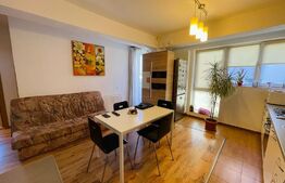 Apartament 2 camere 40mp, etaj intermediar, zona Stejarului 