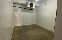 Spatiu comercial/Hala frig, 400 mp, 3 camere frig, rampa, zona Rasaritului