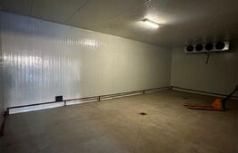 Spatiu comercial/Hala frig, 400 mp, 3 camere frig, rampa, zona Rasaritului