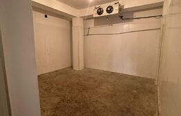 Spatiu comercial/Hala frig, 400 mp, 3 camere frig, rampa, zona Rasaritului