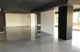 Spatiu ideal activitate medicala sau showroom, 230 mp, Zorilor