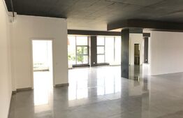 Spatiu ideal activitate medicala sau showroom, 230 mp, Zorilor