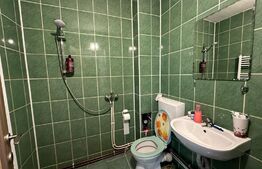 Garsoniera 20 mp, mobilata si utilata, Dambul Rotund 