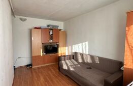 Garsoniera 20 mp, mobilata si utilata, Dambul Rotund 