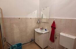 Spatiu comercial, 220 mp, zona Hasdeu