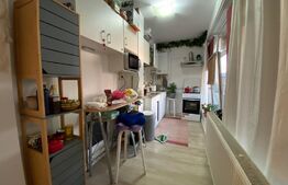 Apartament cu o camera, 41 mp si terasa de 42 mp, zona Petrom