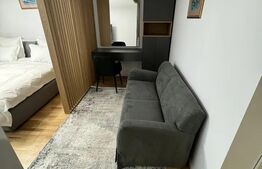 Apartament 1 camera, 37mp, terasa, parcare subterana, Park Lake