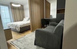 Apartament 1 camera, 37mp, terasa, parcare subterana, Park Lake